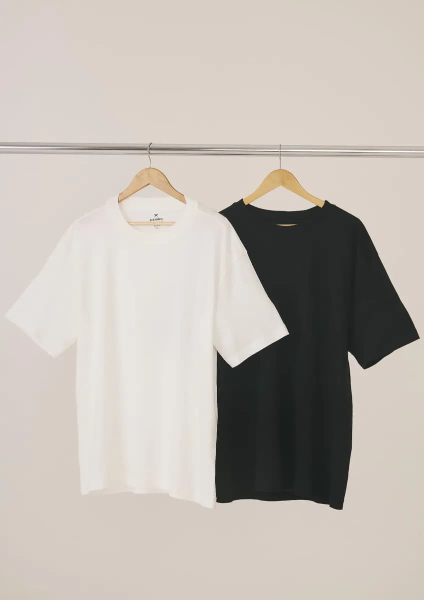 Kit 2 Camisetas Hering Básicas Relaxed Algodão