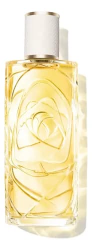 Perfume Lancôme Ô Zenith EDT 100ml Feminino - Fragrância Floral Importada