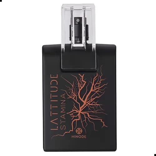 Perfume Latitude Hinode Masculino Gold 100ml por R$ 115 (a vista)